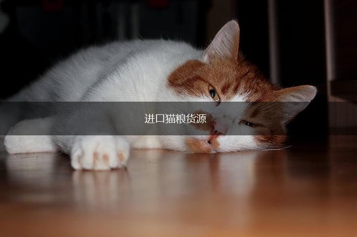 进口猫粮货源,第1张