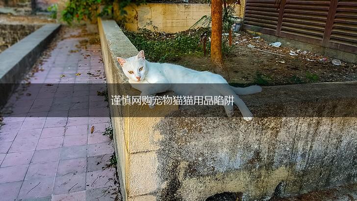 谨慎网购宠物猫猫用品陷阱,第1张
