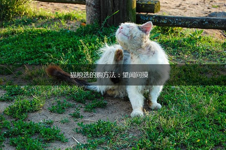 猫粮选的购方法：望闻问摸,第1张