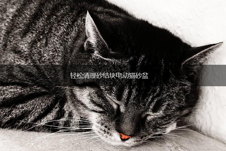 轻松清理砂结块电动猫砂盆,第1张