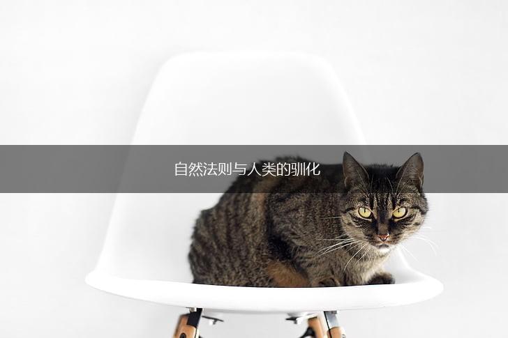 自然法则与人类的驯化,第1张