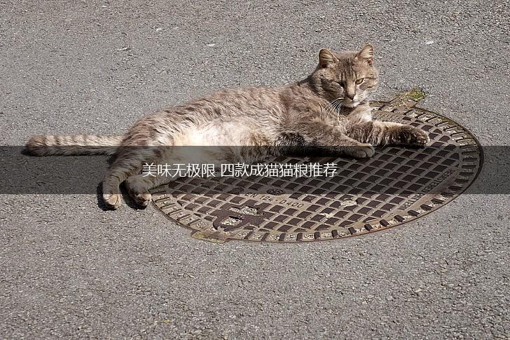 美味无极限 四款成猫猫粮推荐,第1张