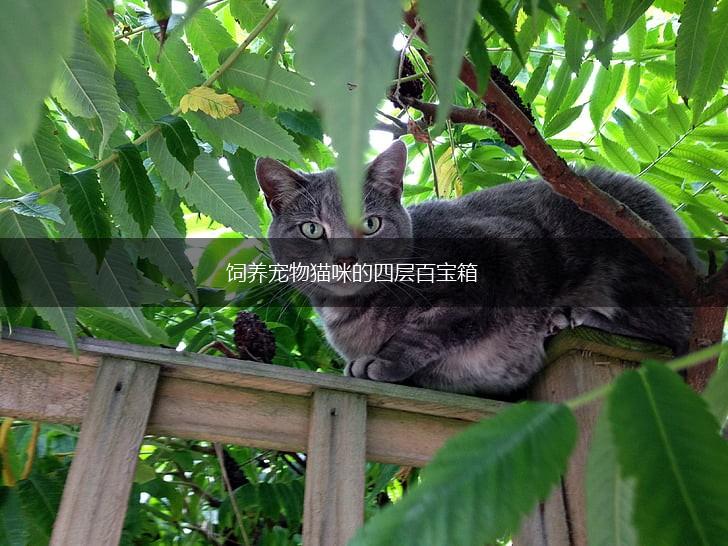 饲养宠物猫咪的四层百宝箱,第1张