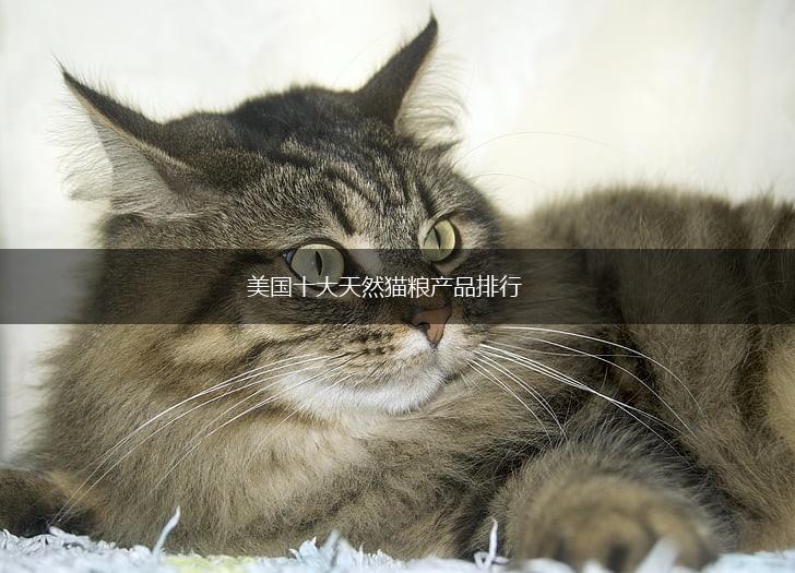 美国十大天然猫粮产品排行,第1张