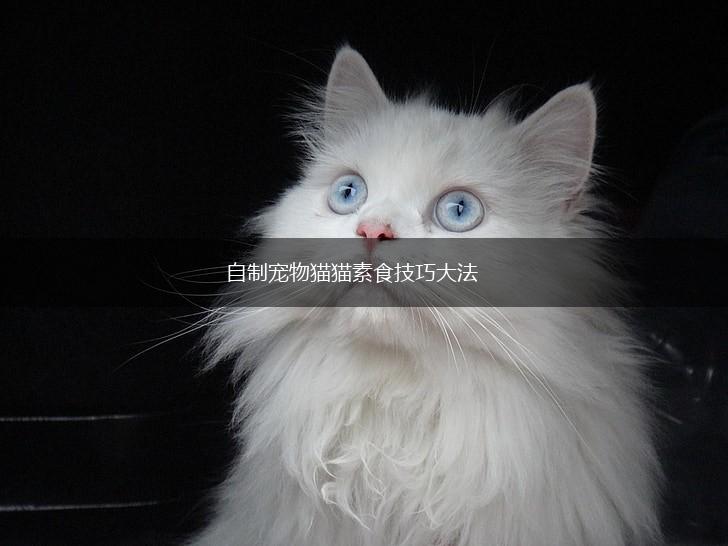自制宠物猫猫素食技巧大法,第1张