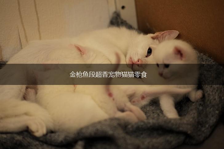 金枪鱼段超香宠物猫猫零食,第1张