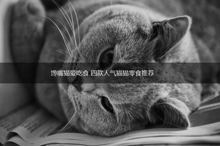 馋嘴猫爱吃食 四款人气猫猫零食推荐,第1张