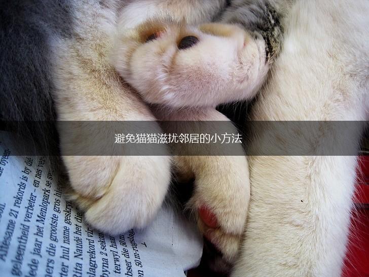 避免猫猫滋扰邻居的小方法,第1张