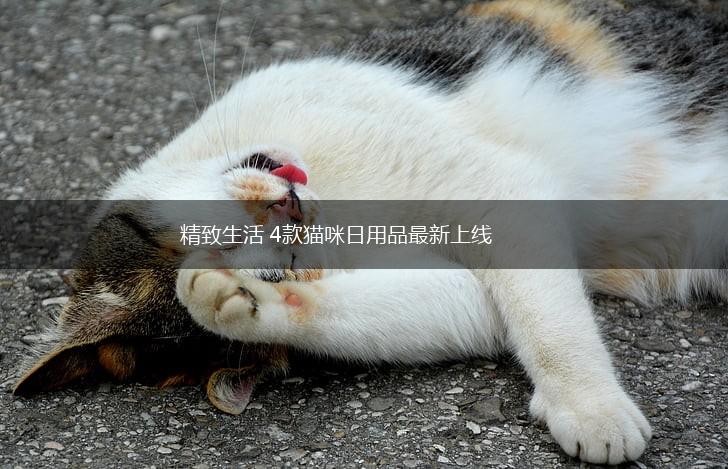 精致生活 4款猫咪日用品最新上线,第1张