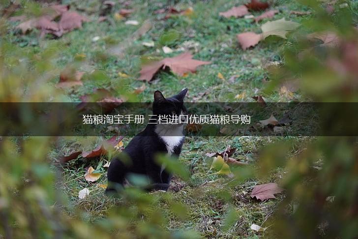 猫粮淘宝手册 三档进口优质猫粮导购,第1张 猫粮淘宝手册 三档进口优质猫粮导购,第1张
