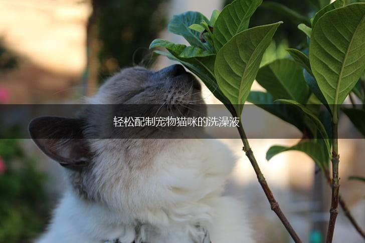 轻松配制宠物猫咪的洗澡液,第1张