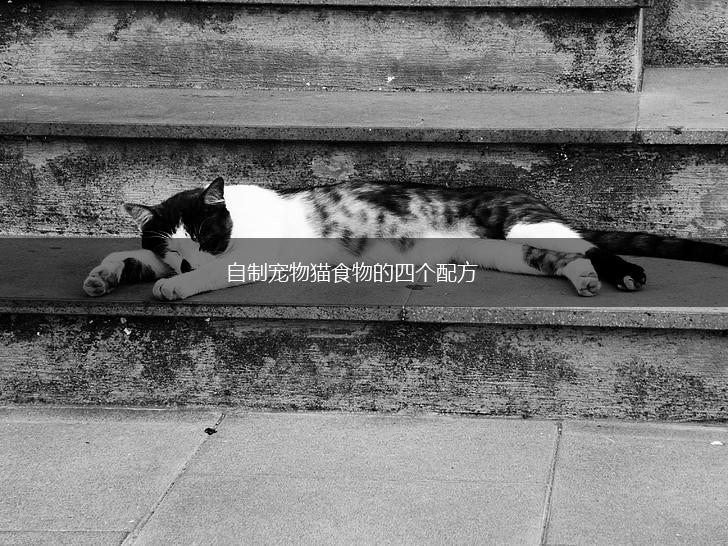 自制宠物猫食物的四个配方,第1张