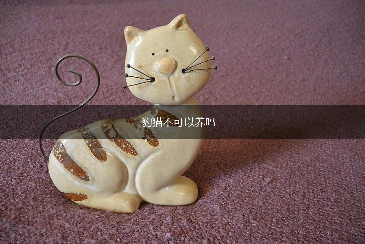 豹猫不可以养吗,第1张