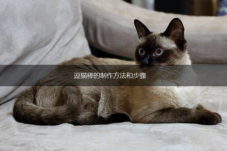 逗猫棒的制作方法和步骤,第1张