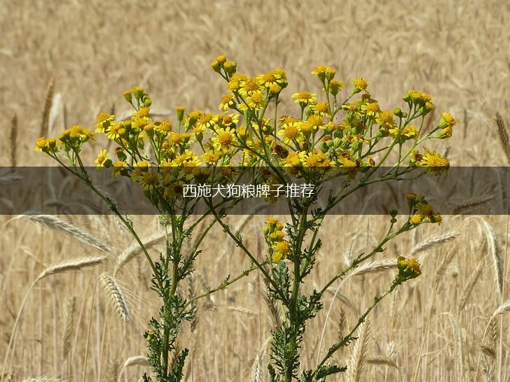 西施犬狗粮牌子推荐,第1张