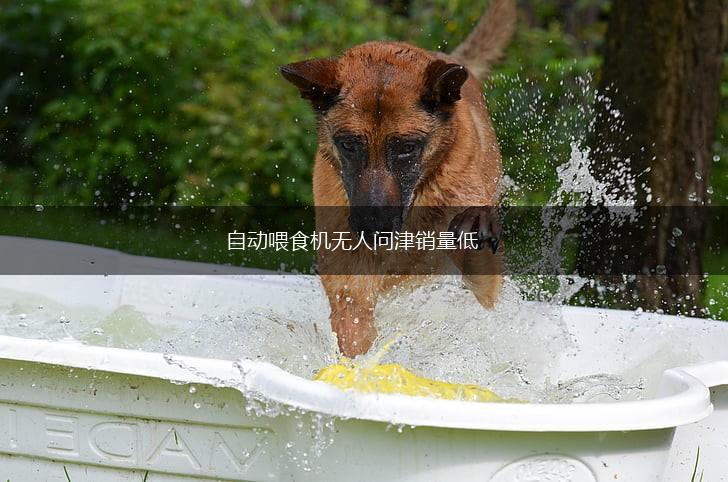 自动喂食机无人问津销量低,第1张