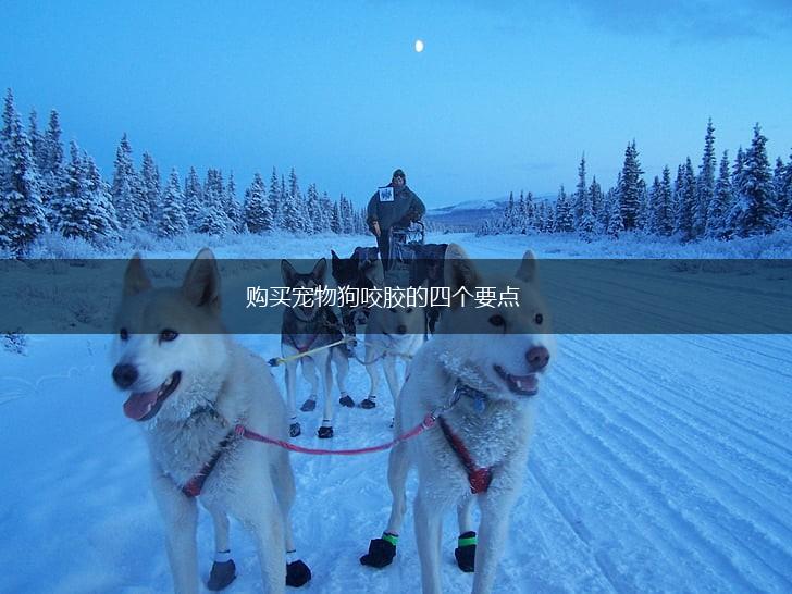 购买宠物狗咬胶的四个要点,第1张