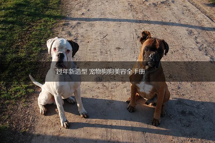 过年新造型 宠物狗狗美容全手册,第1张