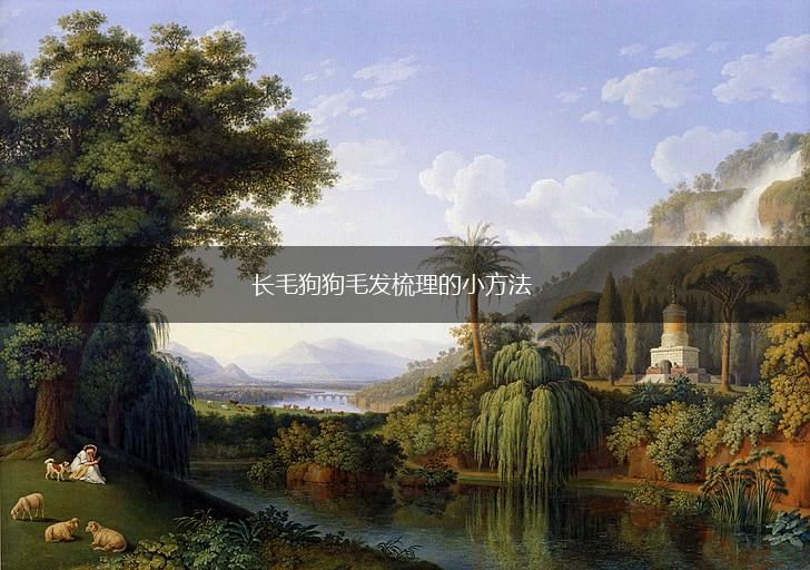 长毛狗狗毛发梳理的小方法,第1张