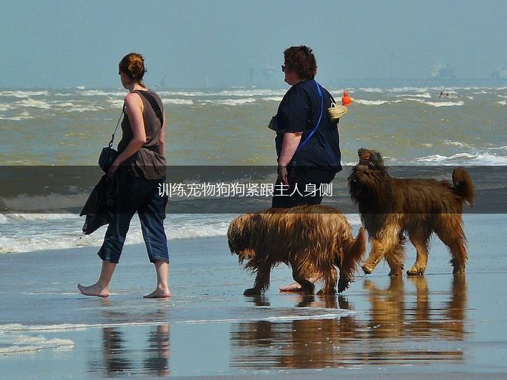 训练宠物狗狗紧跟主人身侧,第1张 训练宠物狗狗紧跟主人身侧,第1张