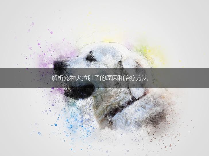 解析宠物犬拉肚子的原因和治疗方法,第1张