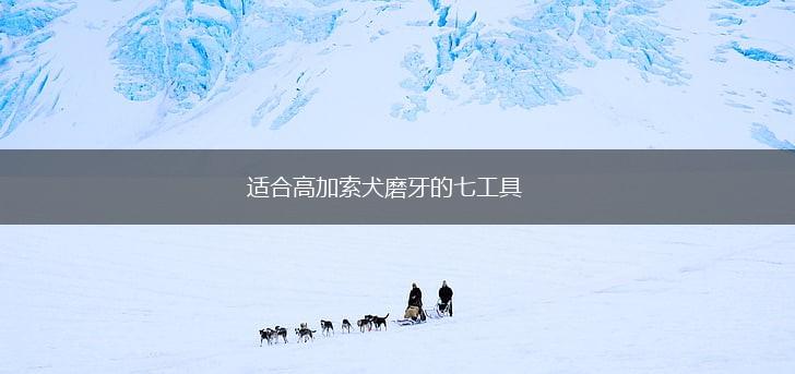 适合高加索犬磨牙的七工具,第1张
