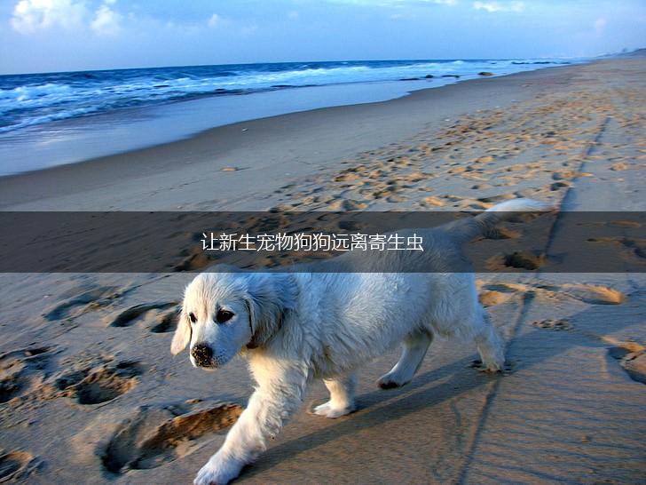 让新生宠物狗狗远离寄生虫,第1张