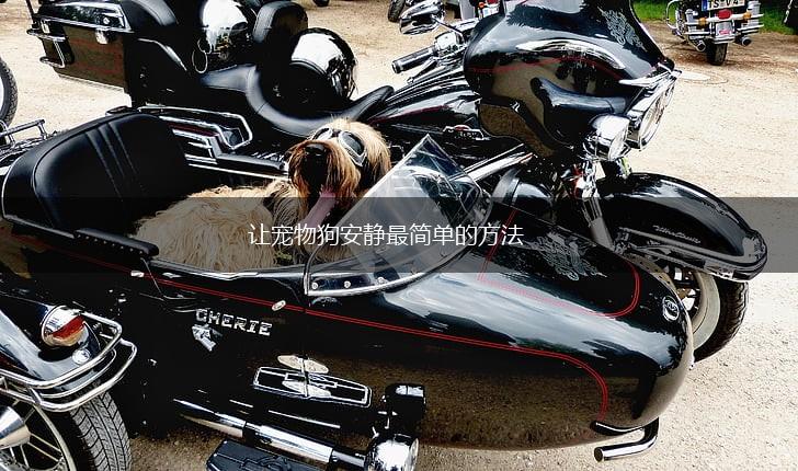 让宠物狗安静最简单的方法,第1张 让宠物狗安静最简单的方法,第1张