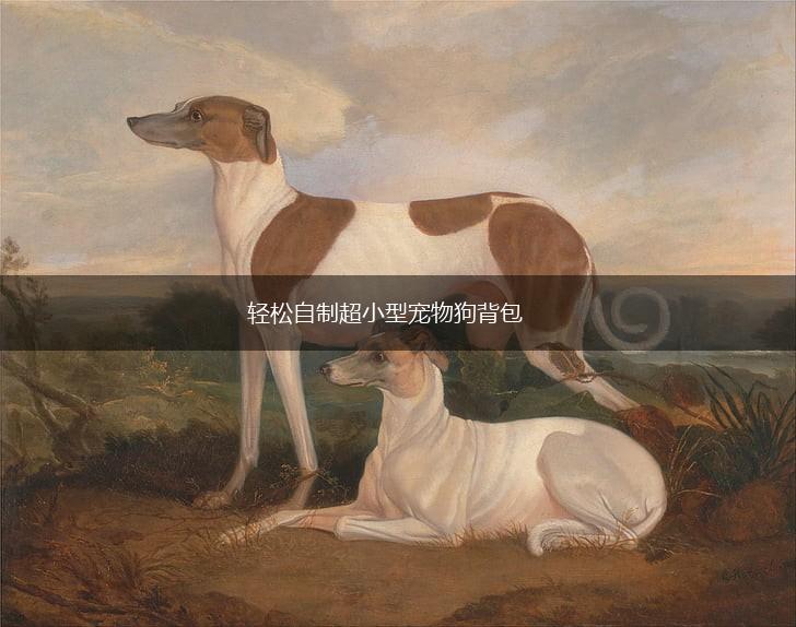 轻松自制超小型宠物狗背包,第1张