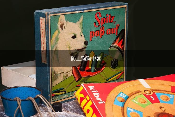 防止狗狗中暑,第1张