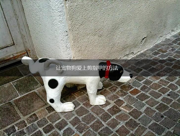 让宠物狗爱上剪指甲的方法,第1张