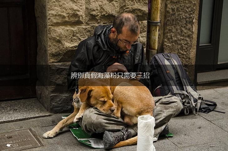 辨别真假海藻粉只需要三招,第1张