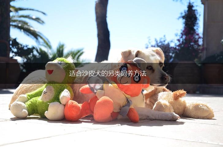 适合沙皮犬的另类饲养方法,第1张