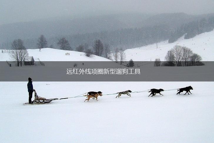 远红外线项圈新型遛狗工具,第1张