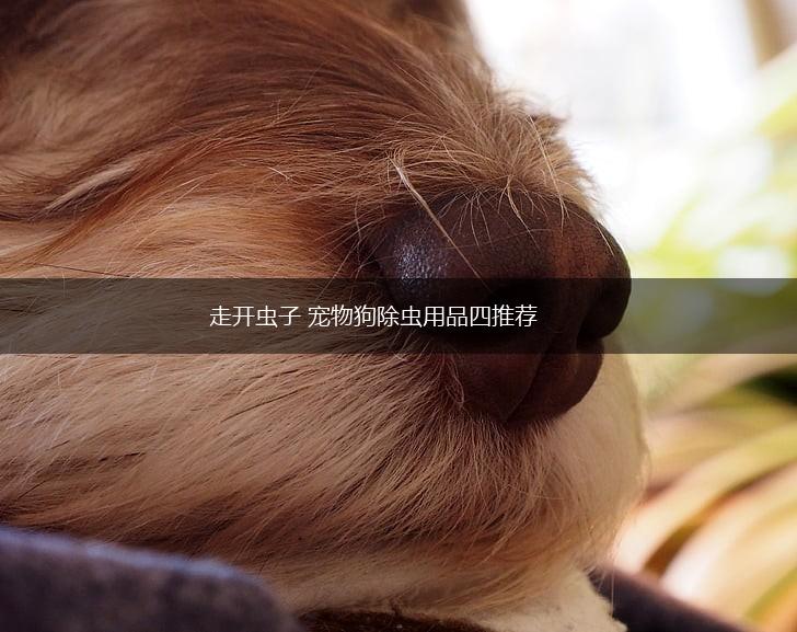 走开虫子 宠物狗除虫用品四推荐,第1张