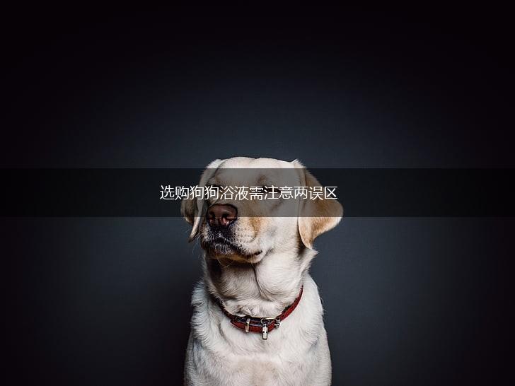 选购狗狗浴液需注意两误区,第1张 选购狗狗浴液需注意两误区,第1张