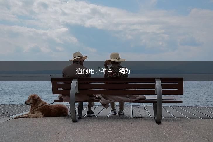 遛狗用哪种牵引绳好,第1张