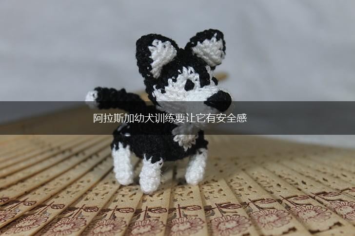 阿拉斯加幼犬训练要让它有安全感,第1张 阿拉斯加幼犬训练要让它有安全感,第1张