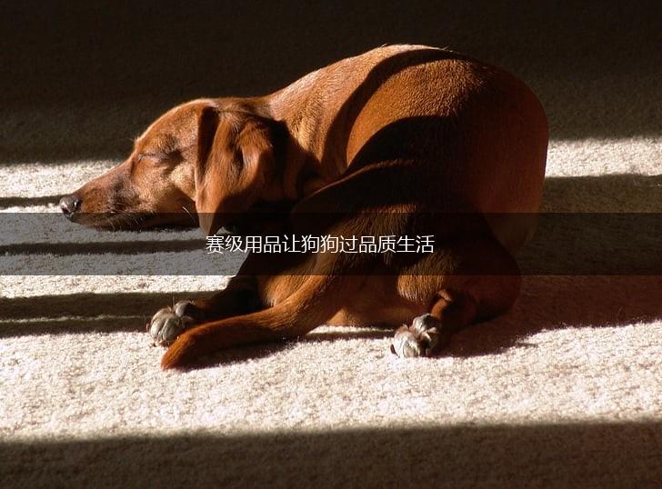 赛级用品让狗狗过品质生活,第1张 赛级用品让狗狗过品质生活,第1张