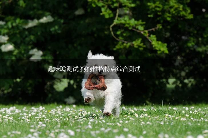 趣味IQ测试 狗狗性格特点综合测试,第1张