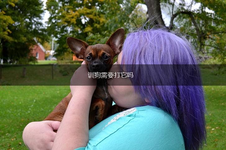 训狗需要打它吗,第1张