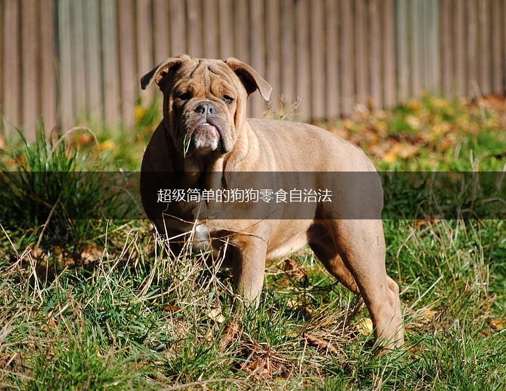 超级简单的狗狗零食自治法,第1张
