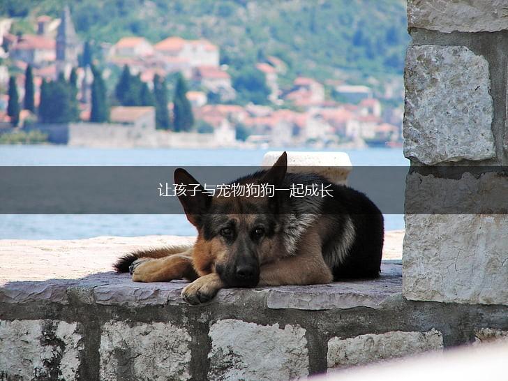 让孩子与宠物狗狗一起成长,第1张