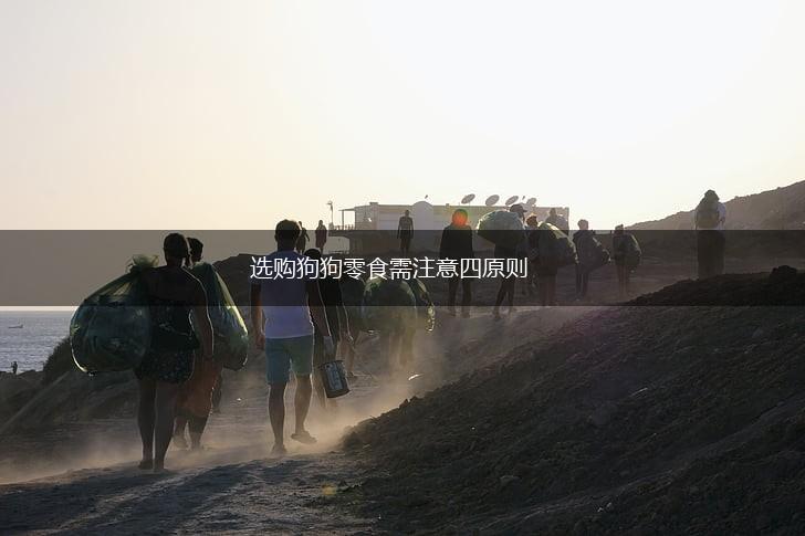 选购狗狗零食需注意四原则,第1张