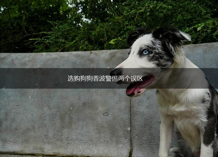 选购狗狗香波警惕两个误区,第1张