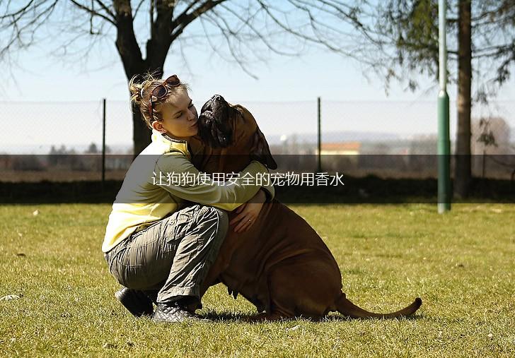 让狗狗使用安全的宠物用香水,第1张 让狗狗使用安全的宠物用香水,第1张