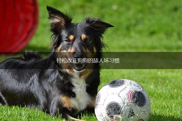 轻松改正狗狗的舔人坏习惯,第1张