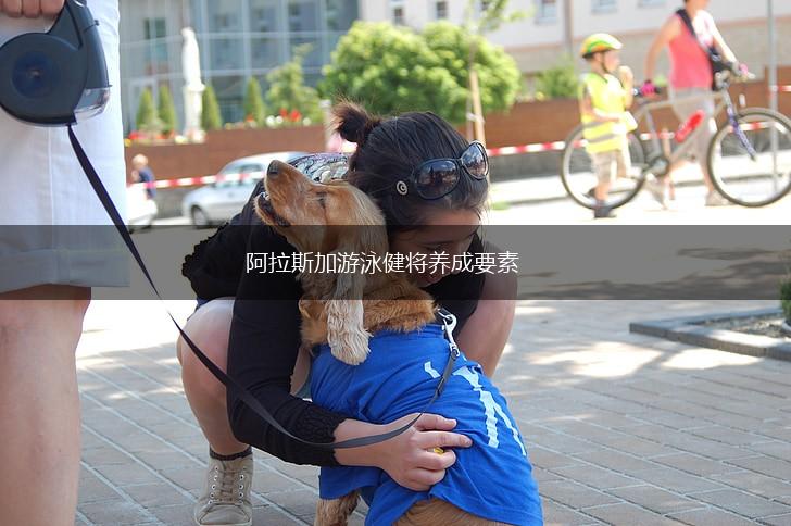 阿拉斯加游泳健将养成要素,第1张