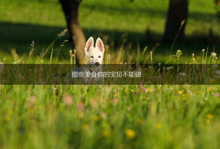 那些美食你的宝贝不能碰,第1张