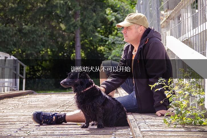训练幼犬从不可以开始,第1张